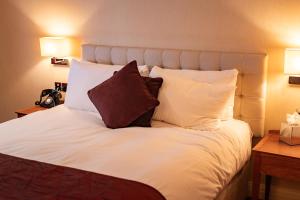 Deluxe Double or Twin Room room in The Red Lion Hotel