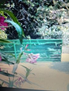 Entre mer et cevennes