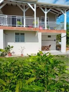 Le Latanier bleuté - Beauregard