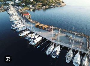 Johannas ranch lgh ovan stallet