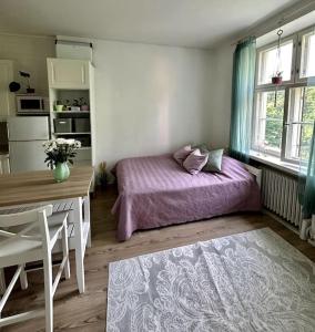 Serenity City Studio