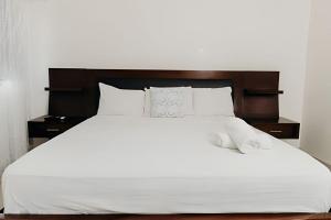 Oceanfront 3 Bedroom With Jacuzzi and Pool