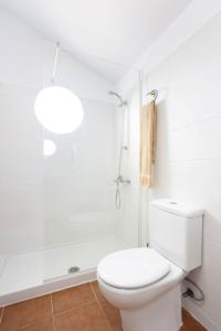 Two apartments 250m from las americas Beach