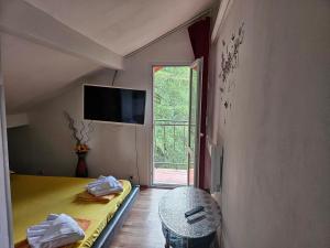 Стаи до реката