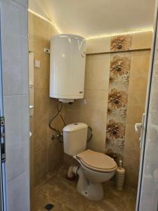 Стаи до реката