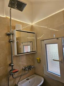 Стаи до реката