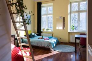 Colour-Box Studio, Wawel Castle Area