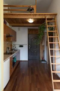 Colour-Box Studio, Wawel Castle Area