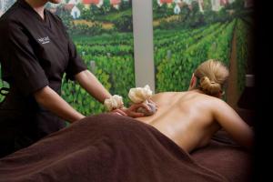 Hotels Hotel Le Cep & Spa : photos des chambres