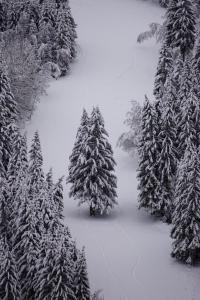 Chalet La Perle de L'Oisans - Appartements d'Exception : photos des chambres