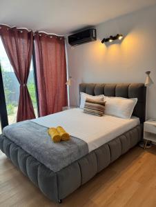 Casa en Sol -Therme Balotesti