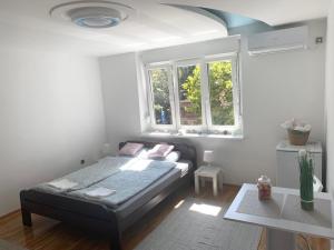 Apartman Vojvoda 1
