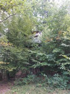 Tree house with private meadow in the middle of the forest