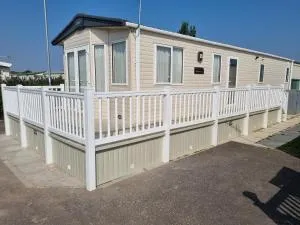 Pg115 GOLDEN PALM CHAPEL ST LEONARDS - 查珀尔圣伦纳兹