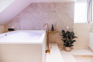 Eden Room - Luxe, Balnéo & Sauna