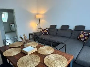 Charmante 4 Zimmer Apartment Contactless Check-in historische Stadtzentrum - 龙嫩贝格