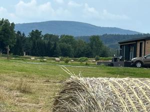 Leśny Park Polanica