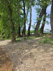 Mobile house in Yacht Camping