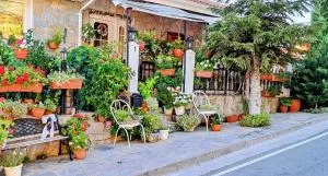 Kyperounta Troodos mountain house - Kyperounda