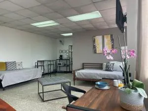 San Jose Downtown Suites - San Francisco dos Rios