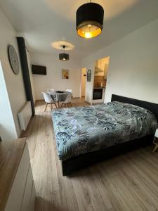 Appartements Studio 2eme etage - Centre-ville - Local velos disponible : photos des chambres