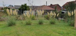 Maison confortable, terrasse et jardin à Amiens