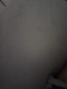 Apartamento - Bom Jardim