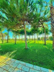 Idas Apartment Durres