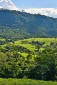 Ecofazenda Lodge - Bofete