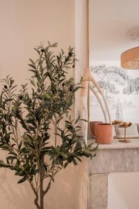 Appartements Mon cocon au coeur du village et des plages : photos des chambres