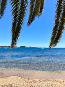 Appartements Mon cocon au coeur du village et des plages : photos des chambres