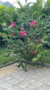 P'tii repos Soleil - Fouché