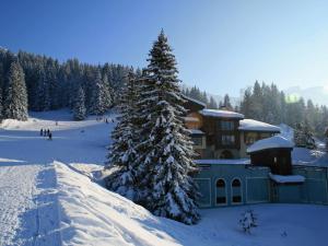 Appartements Appartement cosy 2 pieces a Valmorel, 50m des pistes, animaux acceptes - FR-1-356-440 : photos des chambres