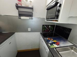 Appartements Studio cosy a Valmorel, 100m des remontees, animaux admis - FR-1-356-444 : photos des chambres