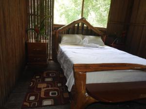 Castaña Amazon Park