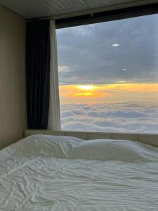 วิมานหมอก ภูทับเบิก