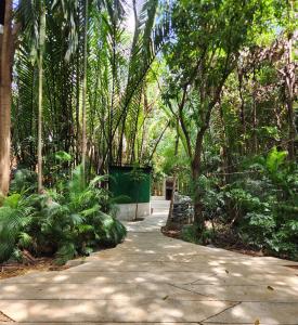 Hiddenwoods