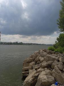 Beograd Oaza, Palilula