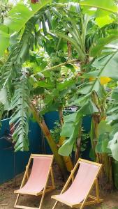 Juliet Home Samui - Adult only