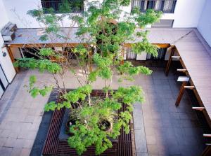 Avemore Eikehoff No 26 full power back up