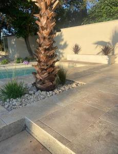 Villas Maison avec piscine et jacuzzi ideale pour un sejour detente : photos des chambres