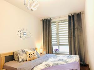 Downtown Apartments Family&Friends