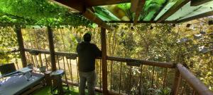 Boresta House -Santa Elena con vista al Bosque y terraza privada