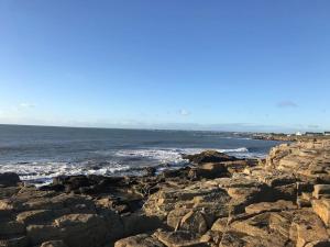 Vitamine Sea