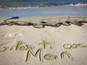 Gîtes TiArMein - 吉瑟尼