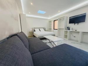 Appartements Studio spacieux Metro 14 Paris : photos des chambres