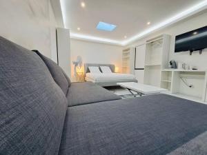 Appartements Studio spacieux Metro 14 Paris : photos des chambres