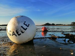 Maisons de vacances Maison familiale, confortable, au coeur du village : photos des chambres