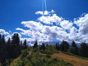 Gujejiani Guest house