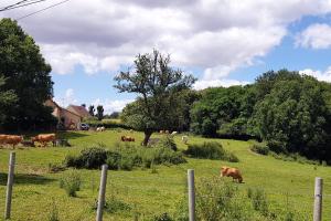 Maisons de vacances Celies Country Cottage : photos des chambres